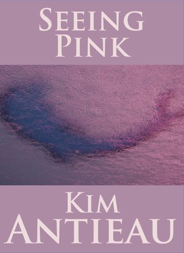 Seeing Pink - Kim Antieau