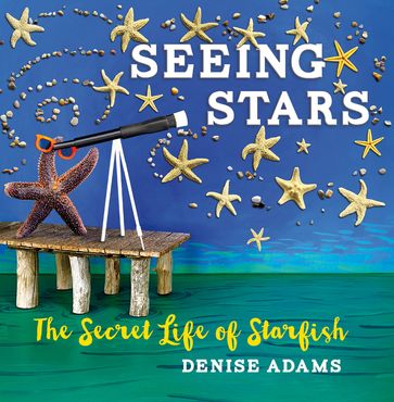 Seeing Stars - Denise Adams