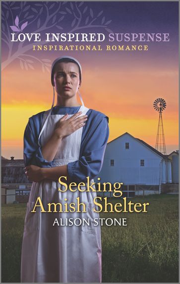 Seeking Amish Shelter - Alison Stone