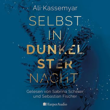 Selbst in dunkelster Nacht (ungekürzt) - Ali Kassemyar