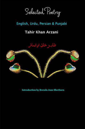 Selected Poetry ~ English, Urdu, Persian & Punjabi - Tahir Khan Arzani