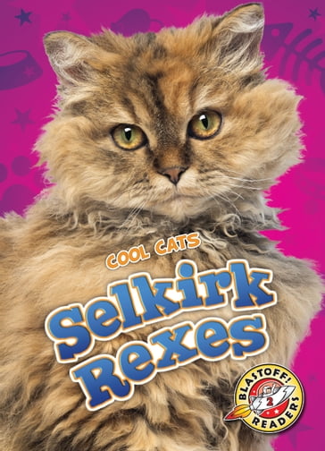 Selkirk Rexes - Betsy Rathburn