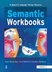 Semantic Workbooks