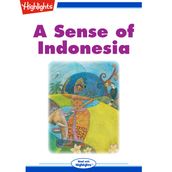 Sense of Indonesia, A