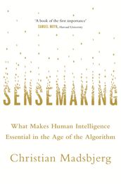 Sensemaking