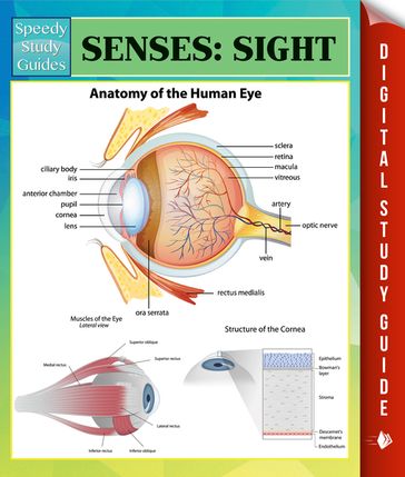 Senses: Sight Speedy Study Guides - Speedy Publishing