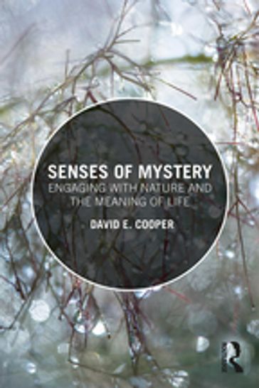 Senses of Mystery - David E. Cooper