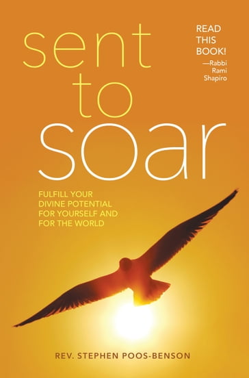 Sent to Soar - Rev. Dr. Stephen Poos-Benson