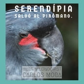 Serendípia salvó al Pirómano.