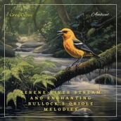 Serene River Stream and Enchanting Bullock s Oriole Melodies