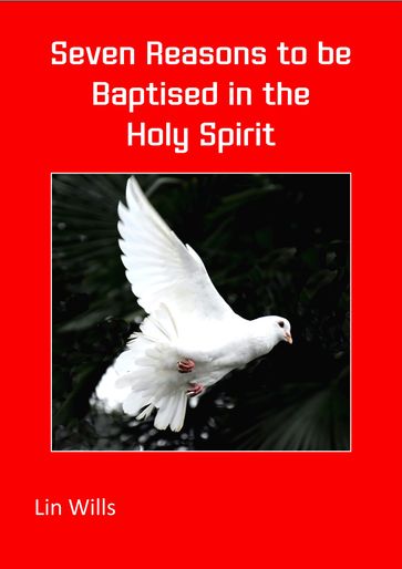 Seven Reasons to be Baptised in the Holy Spirit - Lin Wills