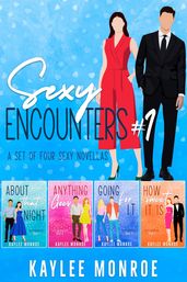 Sexy Encounters #1 (A Set of Four Sexy Novellas)