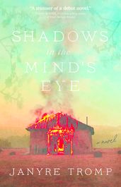 Shadows in the Mind s Eye