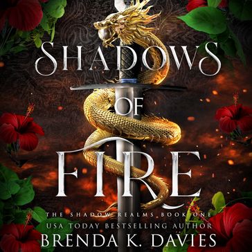Shadows of Fire (The Shadow Realms, Book 1) - Brenda K. Davies