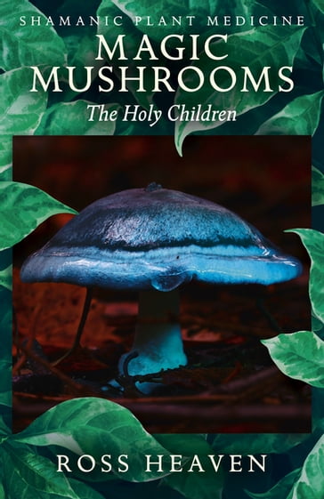 Shamanic Plant Medicine - Magic Mushrooms - Ross Heaven