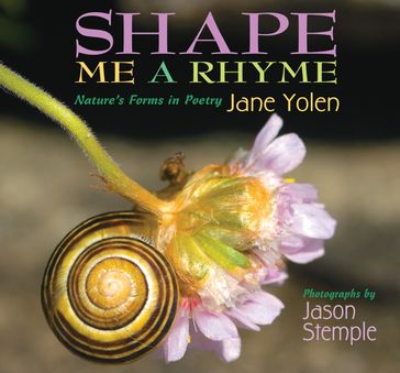 Shape Me a Rhyme - Jane Yolen