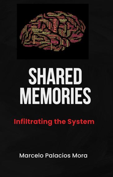 Shared Memories: Infiltrating the system - Marcelo Palacios