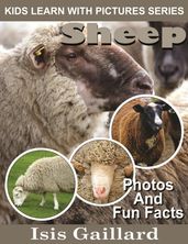 Sheep Photos and Fun Facts for Kids