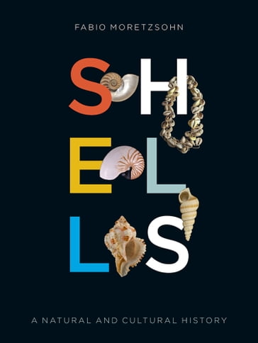 Shells - Fabio Moretzsohn - M. G. Harasewych