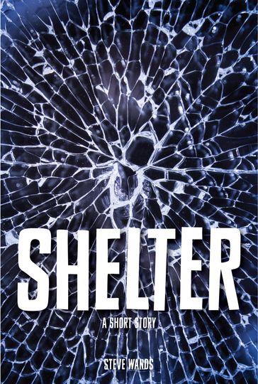 Shelter - Steve Wands