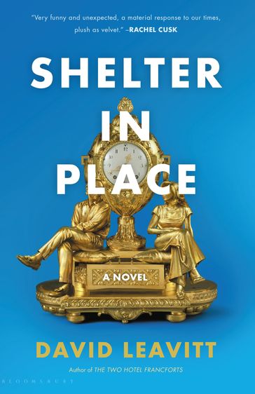 Shelter in Place - David Leavitt