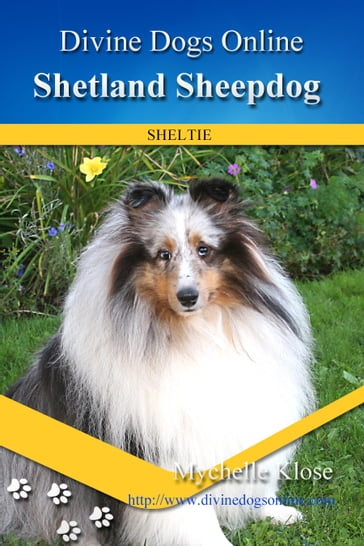 Shetland Sheepdog - Mychelle Klose