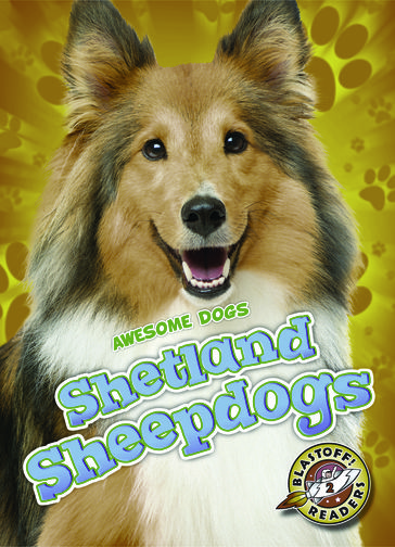 Shetland Sheepdogs - Christina Leaf
