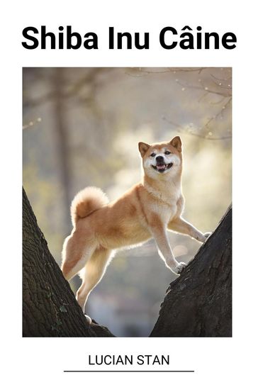 Shiba Inu Câine - Lucian Stan