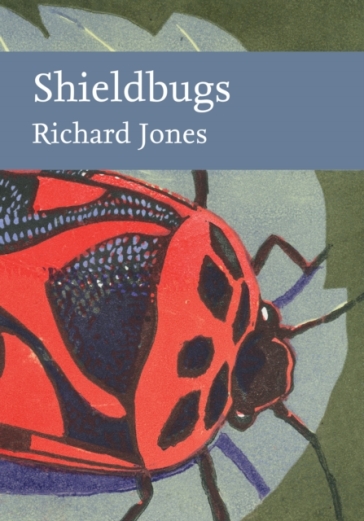 Shieldbugs - Richard Jones