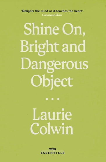 Shine on, Bright and Dangerous Object - Laurie Colwin