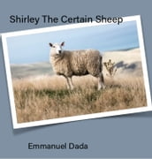 Shirley The Certain Sheep