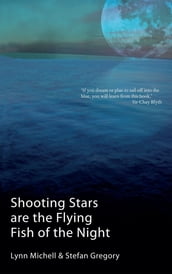 Shooting Stars Are The Flying Fish Of The Night