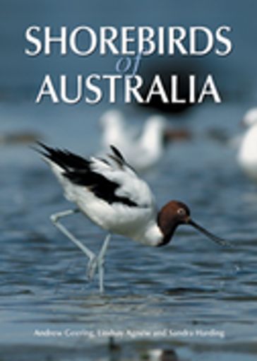 Shorebirds of Australia - Andrew Geering - Lindsay Agnew - Sandra Harding