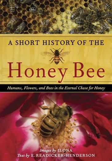 A Short History of the Honey Bee - E. Readicker-Henderson - Ilona McCarty