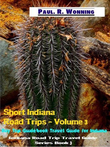 Short Indiana Road Trips - Volume 3 - Paul R. Wonning