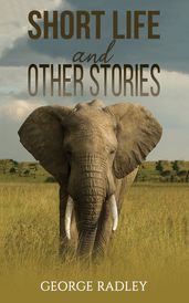 Short Life and Other Stories