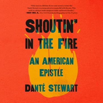 Shoutin' in the Fire - Danté Stewart