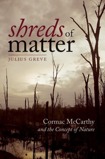 Shreds of Matter - Julius Greve