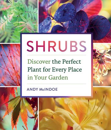 Shrubs - Andy McIndoe