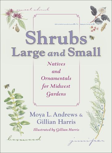 Shrubs Large and Small - Moya L. Andrews - Gillian Harris