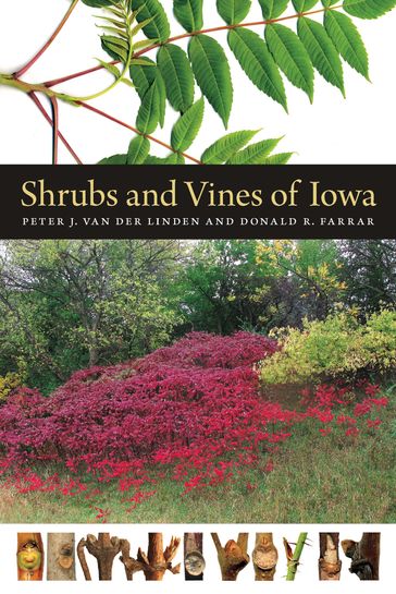 Shrubs and Vines of Iowa - Donald R. Farrar - Peter J. van der Linden