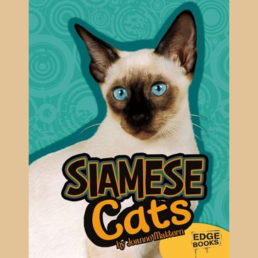 Siamese Cats - Joanne Mattern