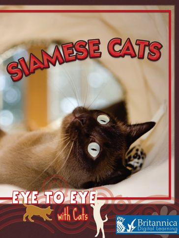 Siamese Cats - Lynn Stone