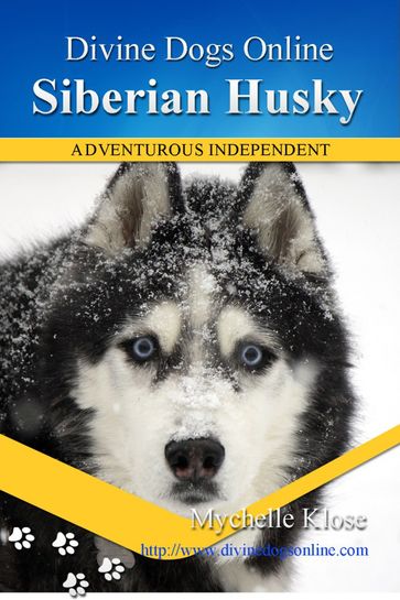 Siberian Husky - Mychelle Klose