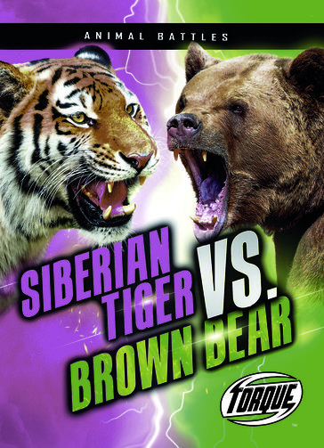 Siberian Tiger vs. Brown Bear - Nathan Sommer