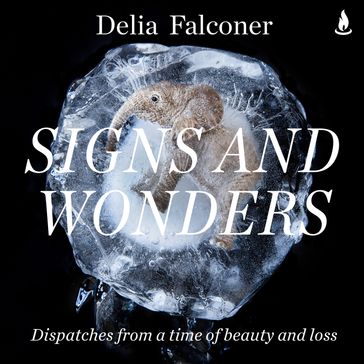 Signs and Wonders - Delia Falconer