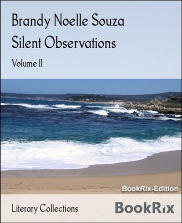 Silent Observations - Brandy Noelle Souza
