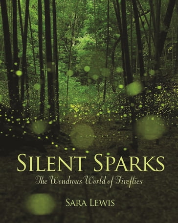 Silent Sparks - Sara Lewis