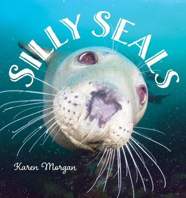 Silly Seals - Karen Morgan