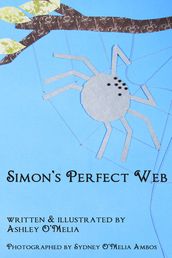 Simon s Perfect Web